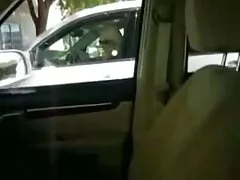 Cagna cornea nel siti erotici gratis cappello accarezzando il suo cazzo